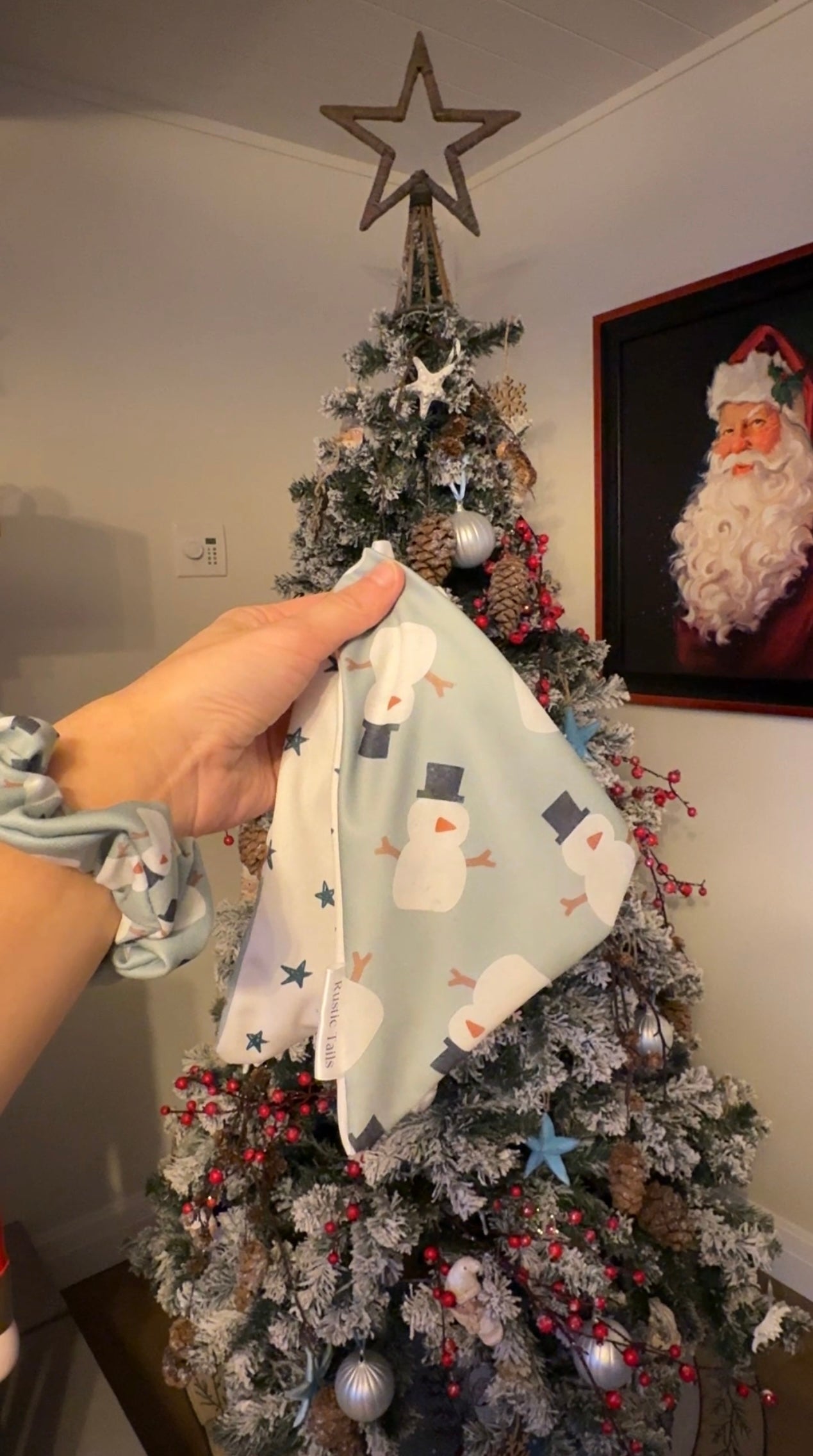 SNOWMAN & STARS DOG BANDANA